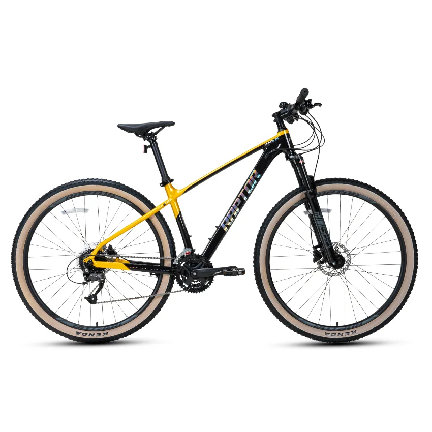 Mountain Bicycle