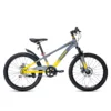 Youth RAPTOR Hola 22 Children's Bike - Disc Brake, 22 Inches Wheels